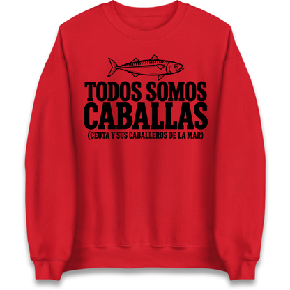 Todos Somos Caballas Ceuta Jumper