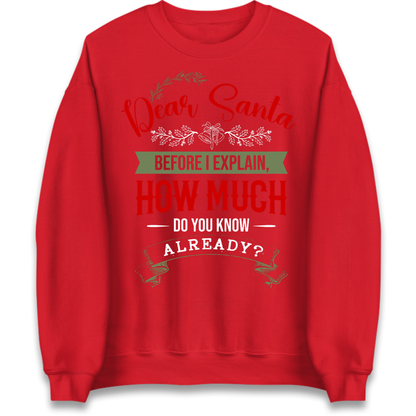 naughty christmas outfit Jumper