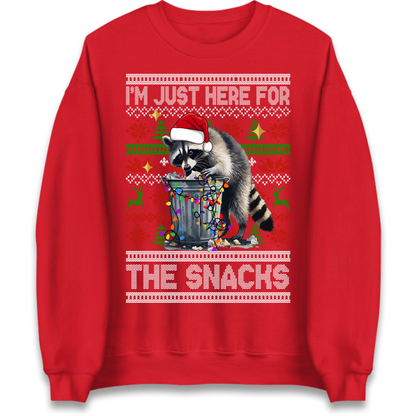 Winter Pullover Jumper