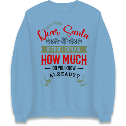 naughty christmas outfit Jumper