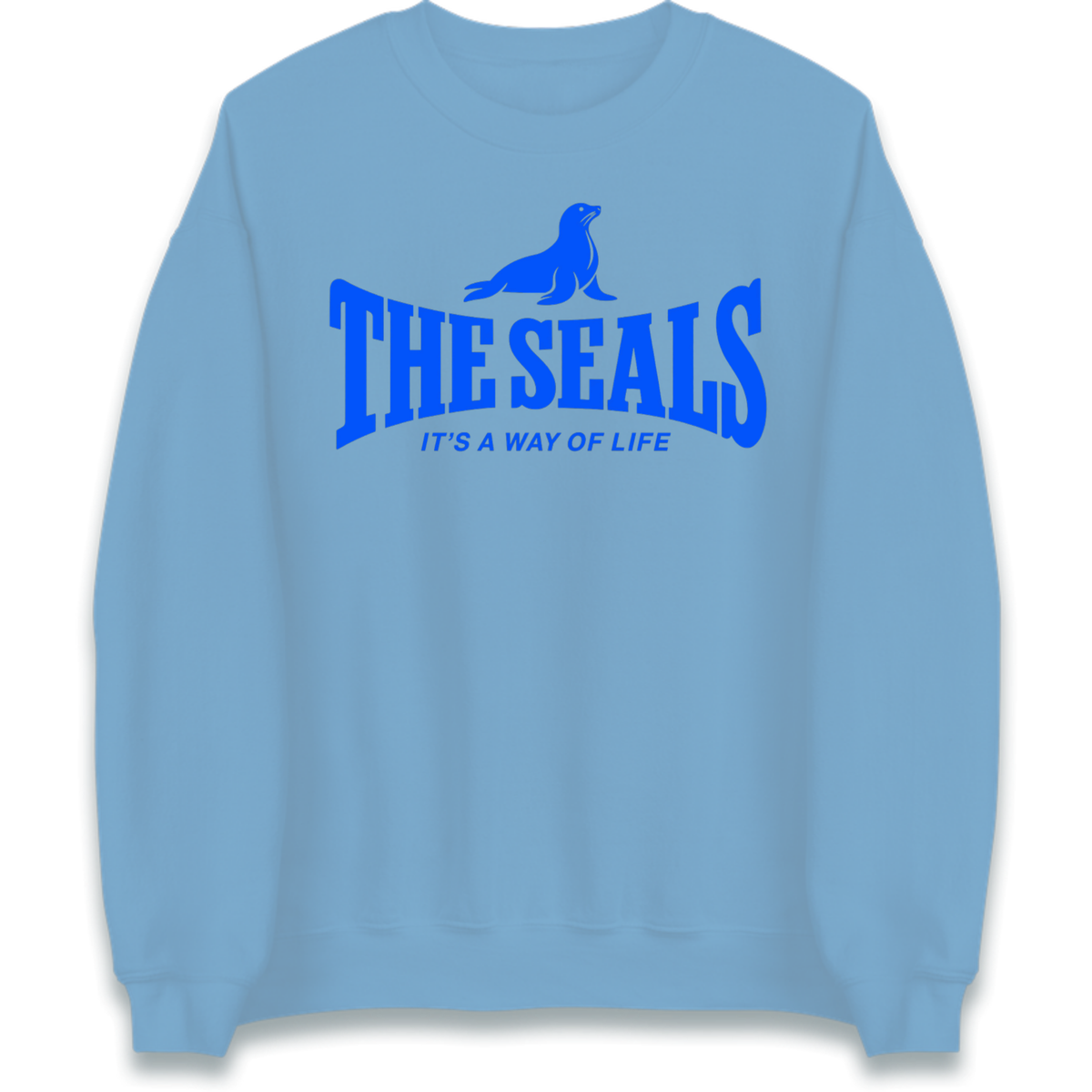 Chester City FC Jumper
