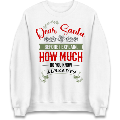 naughty christmas outfit Jumper