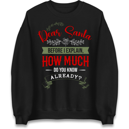 naughty christmas outfit Jumper