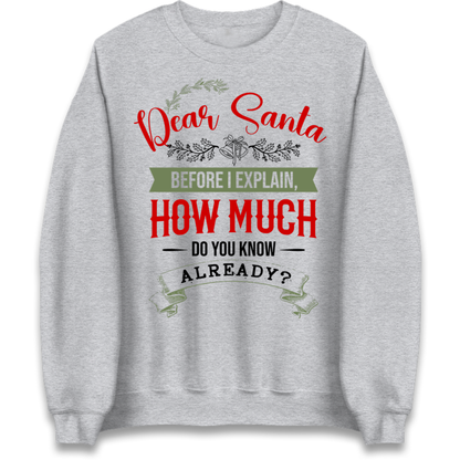 naughty christmas outfit Jumper
