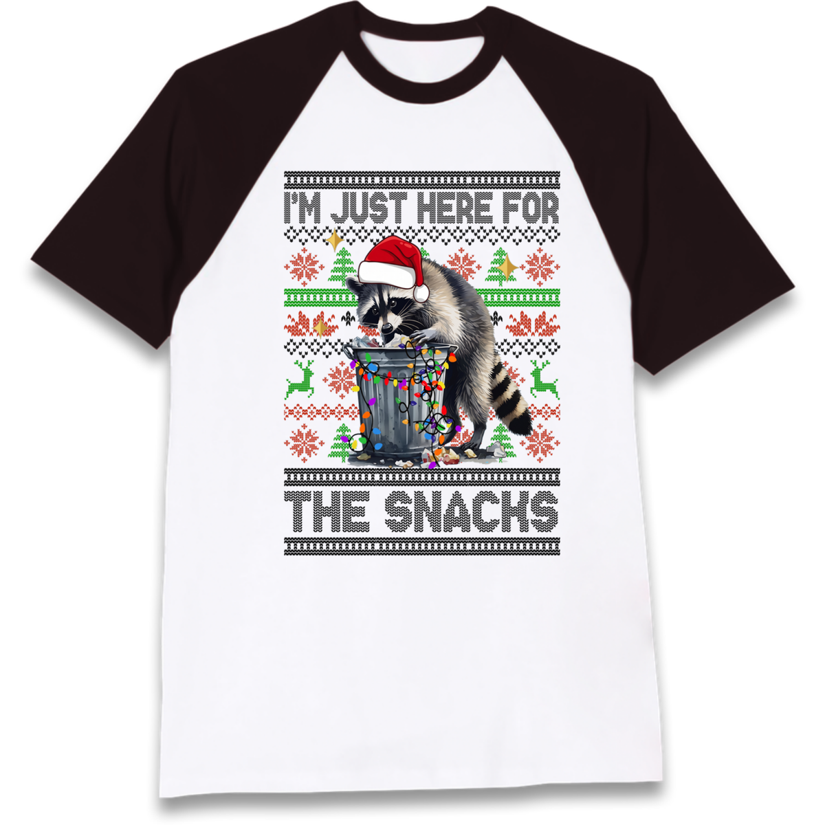 Winter Pullover Raglan T-Shirt