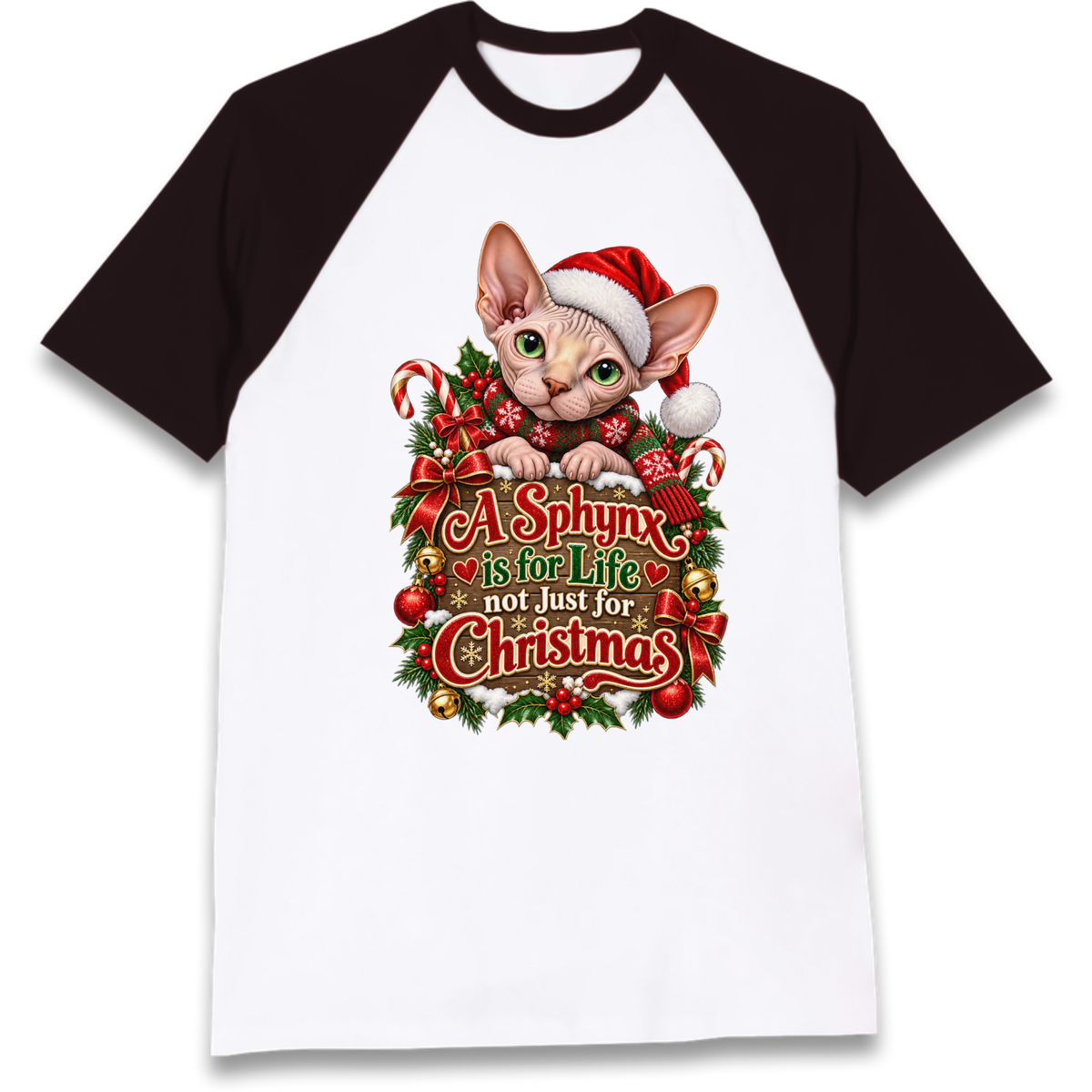 Sphynx Cat Christmas Raglan T-Shirt