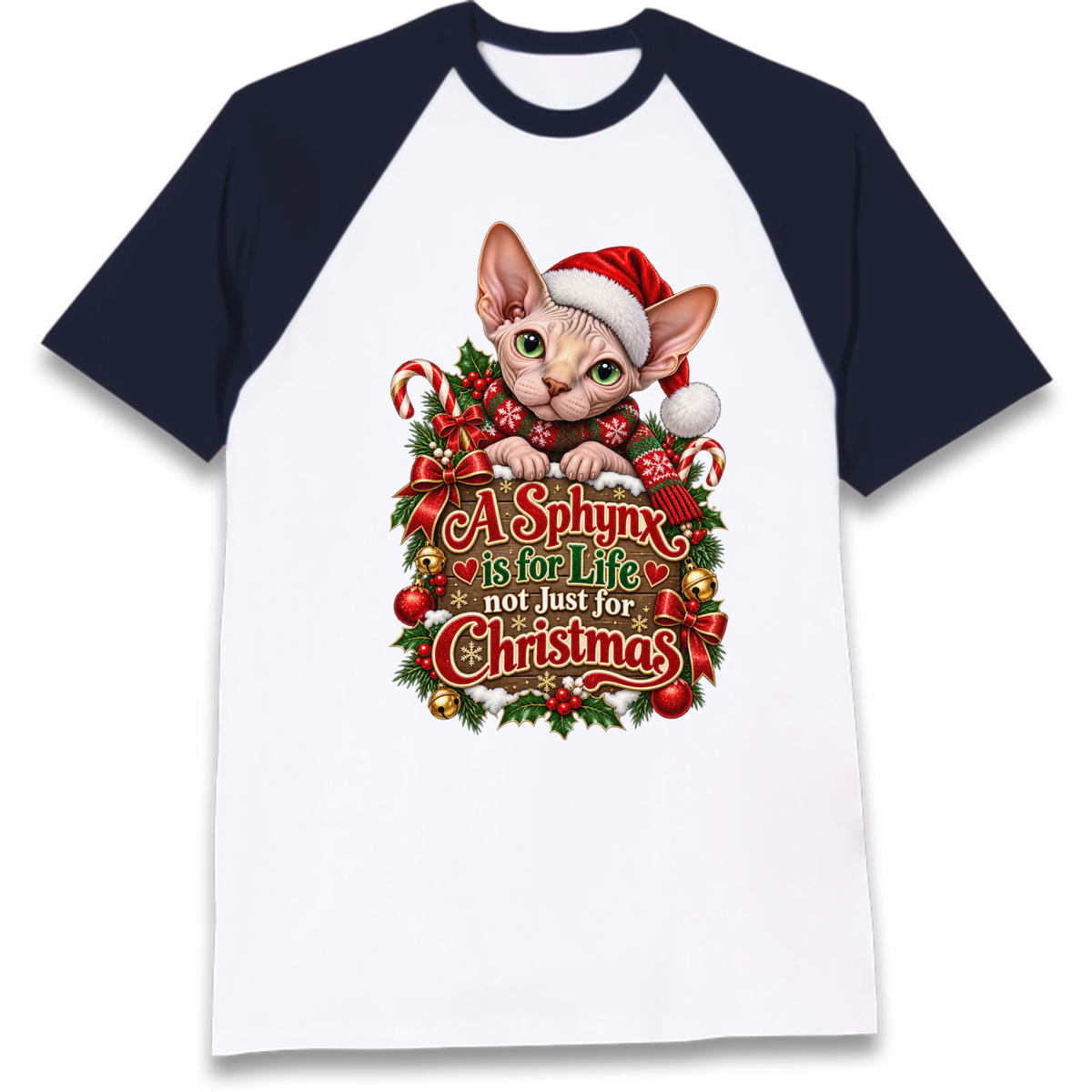 Sphynx Cat Christmas Raglan T-Shirt