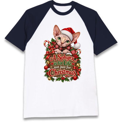 Sphynx Cat Christmas Raglan T-Shirt