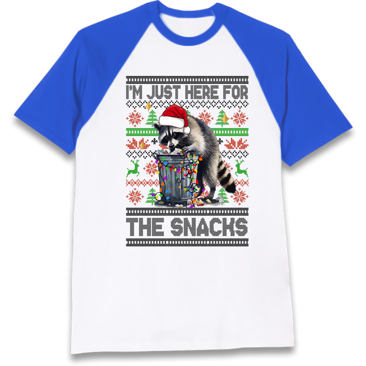 Winter Pullover Raglan T-Shirt