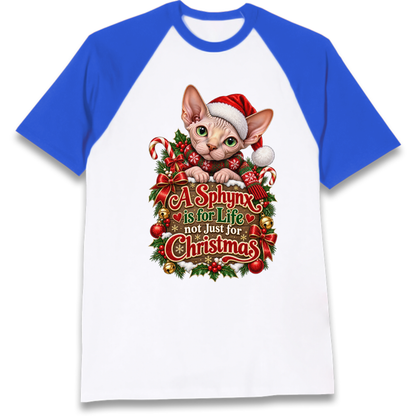 Sphynx Cat Christmas Raglan T-Shirt