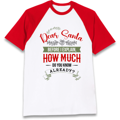 naughty christmas outfit Raglan T-Shirt