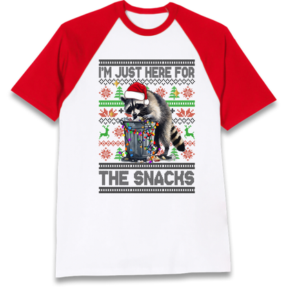 Winter Pullover Raglan T-Shirt
