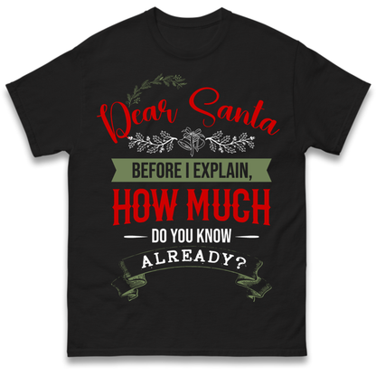 naughty christmas outfit T-Shirt