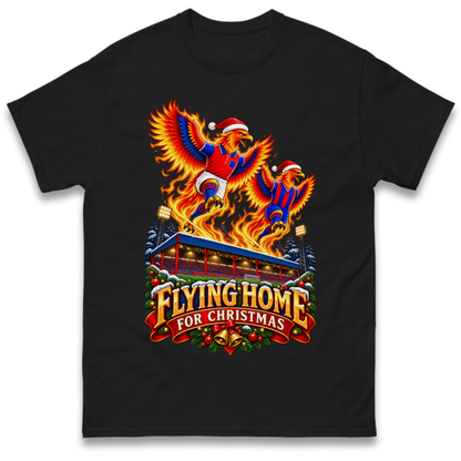 Aldershot Christmas T-Shirt