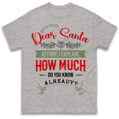 naughty christmas outfit T-Shirt