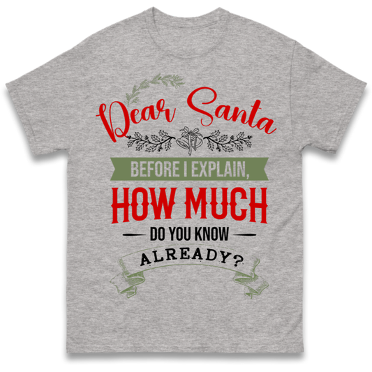 naughty christmas outfit T-Shirt