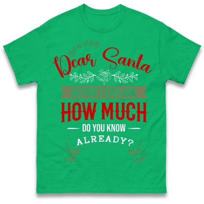 naughty christmas outfit T-Shirt