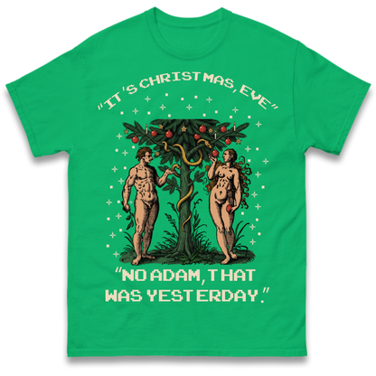 Adam & Eve Christmas Jumper T-Shirt