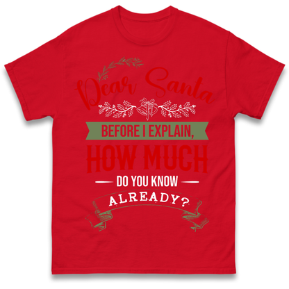 naughty christmas outfit T-Shirt