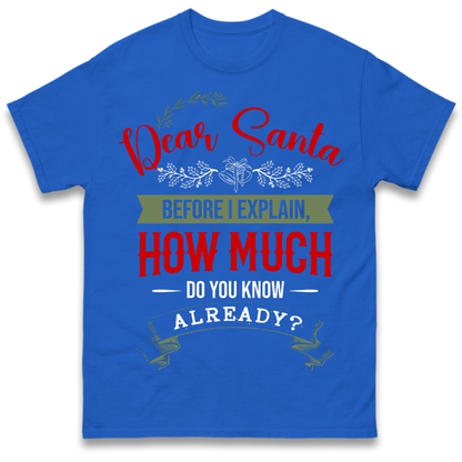 naughty christmas outfit T-Shirt