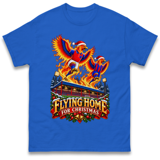 Aldershot Christmas T-Shirt