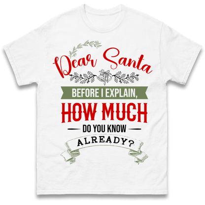 naughty christmas outfit T-Shirt