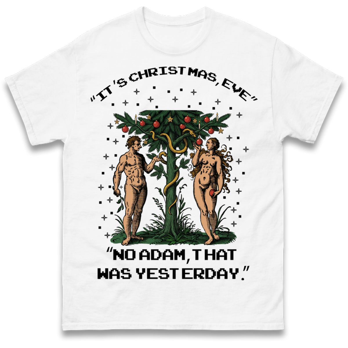 Adam & Eve Christmas Jumper T-Shirt
