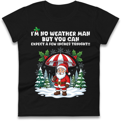 Christmas jumper Ladies T-Shirt
