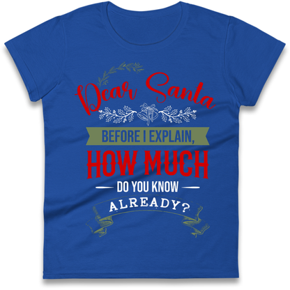 naughty christmas outfit Ladies T-Shirt