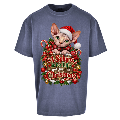 Sphynx Cat Christmas Oversized T-Shirt