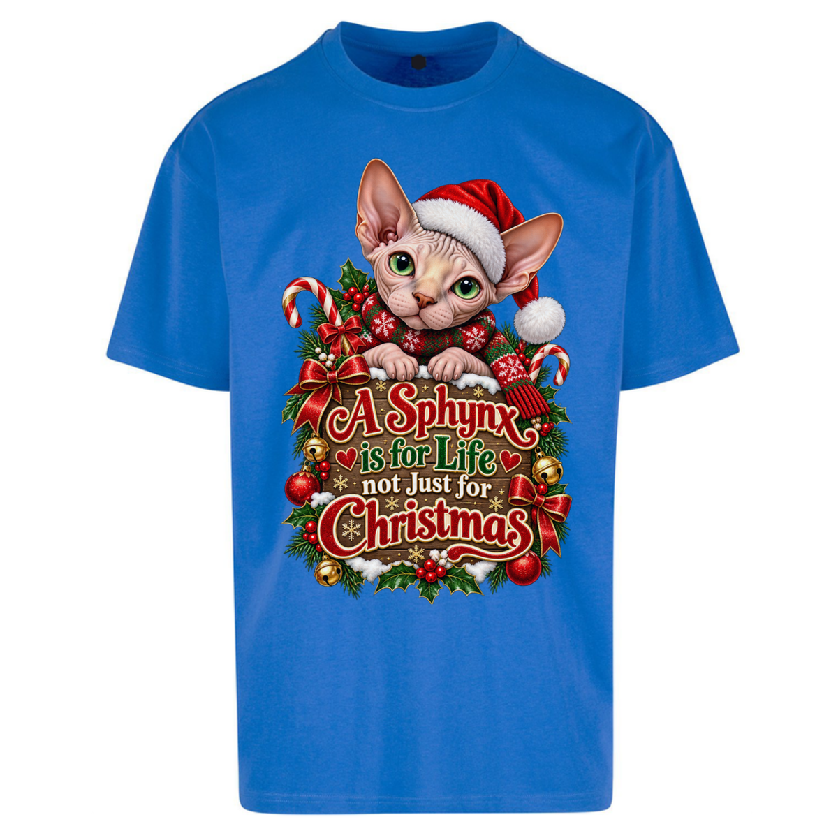 Sphynx Cat Christmas Oversized T-Shirt