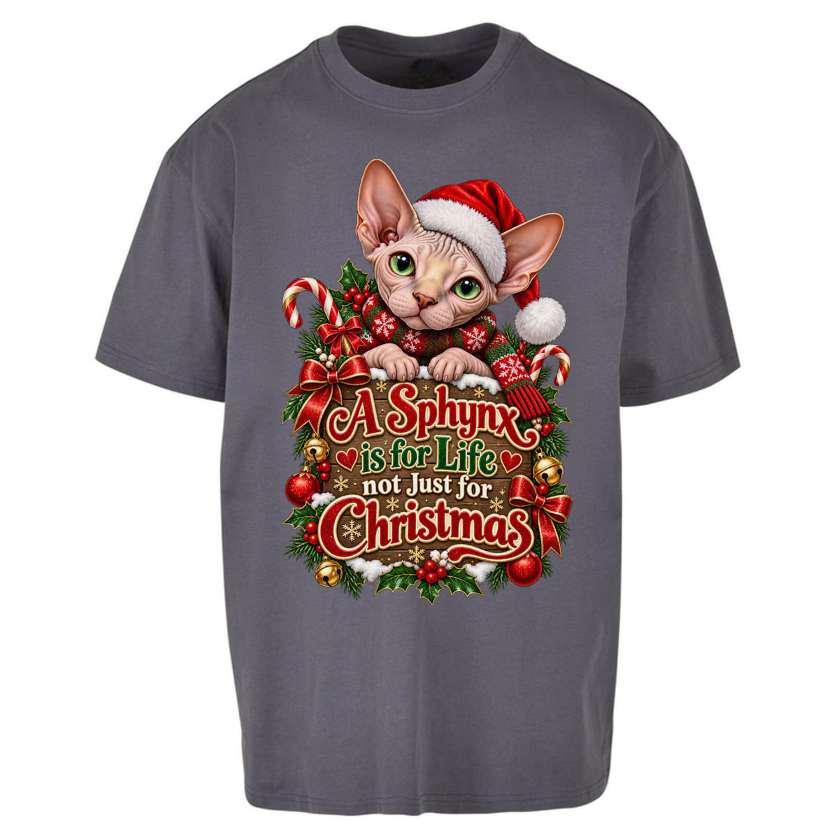 Sphynx Cat Christmas Oversized T-Shirt