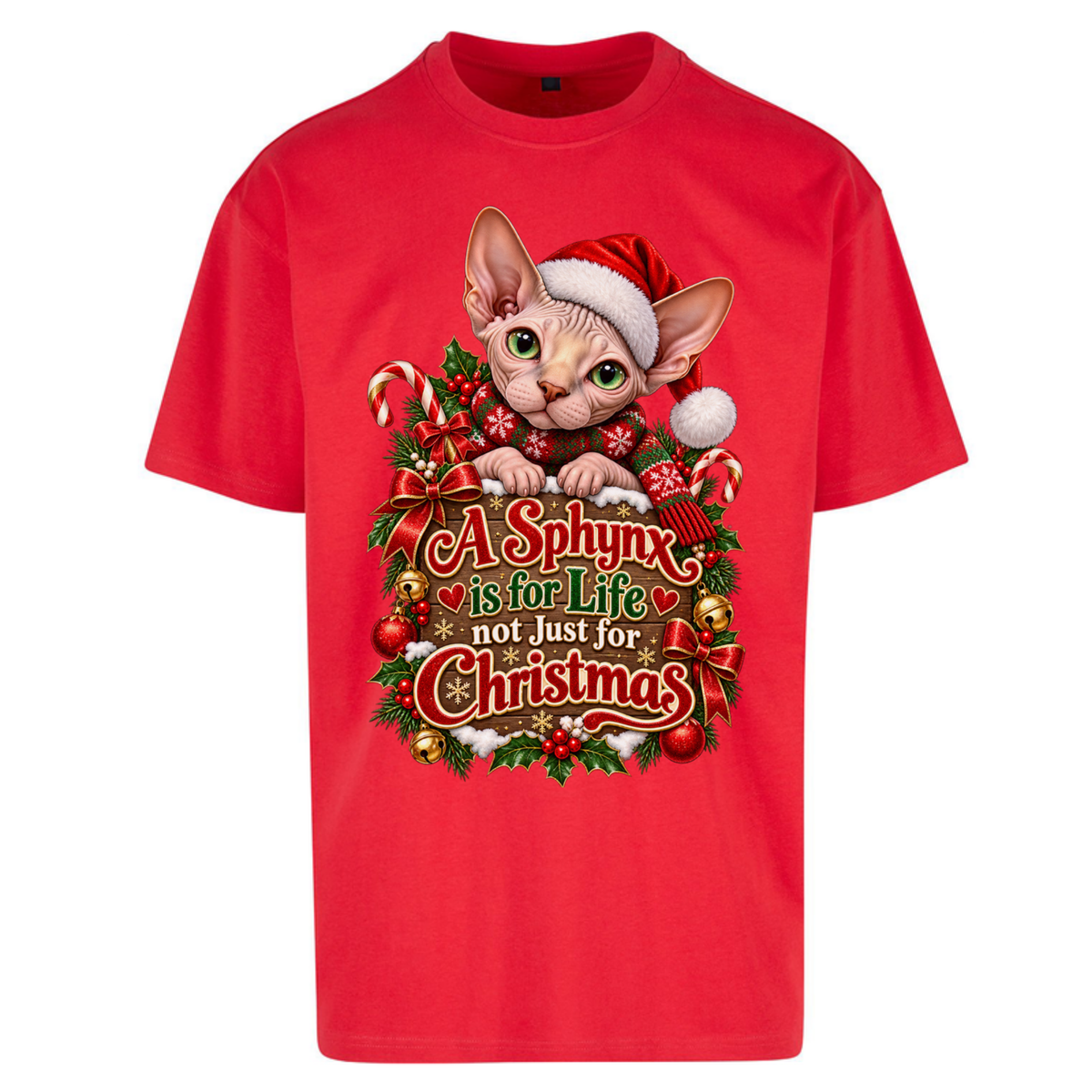 Sphynx Cat Christmas Oversized T-Shirt
