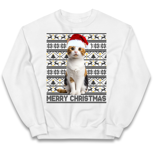 Merry Christmas Cat kids sweatshirt