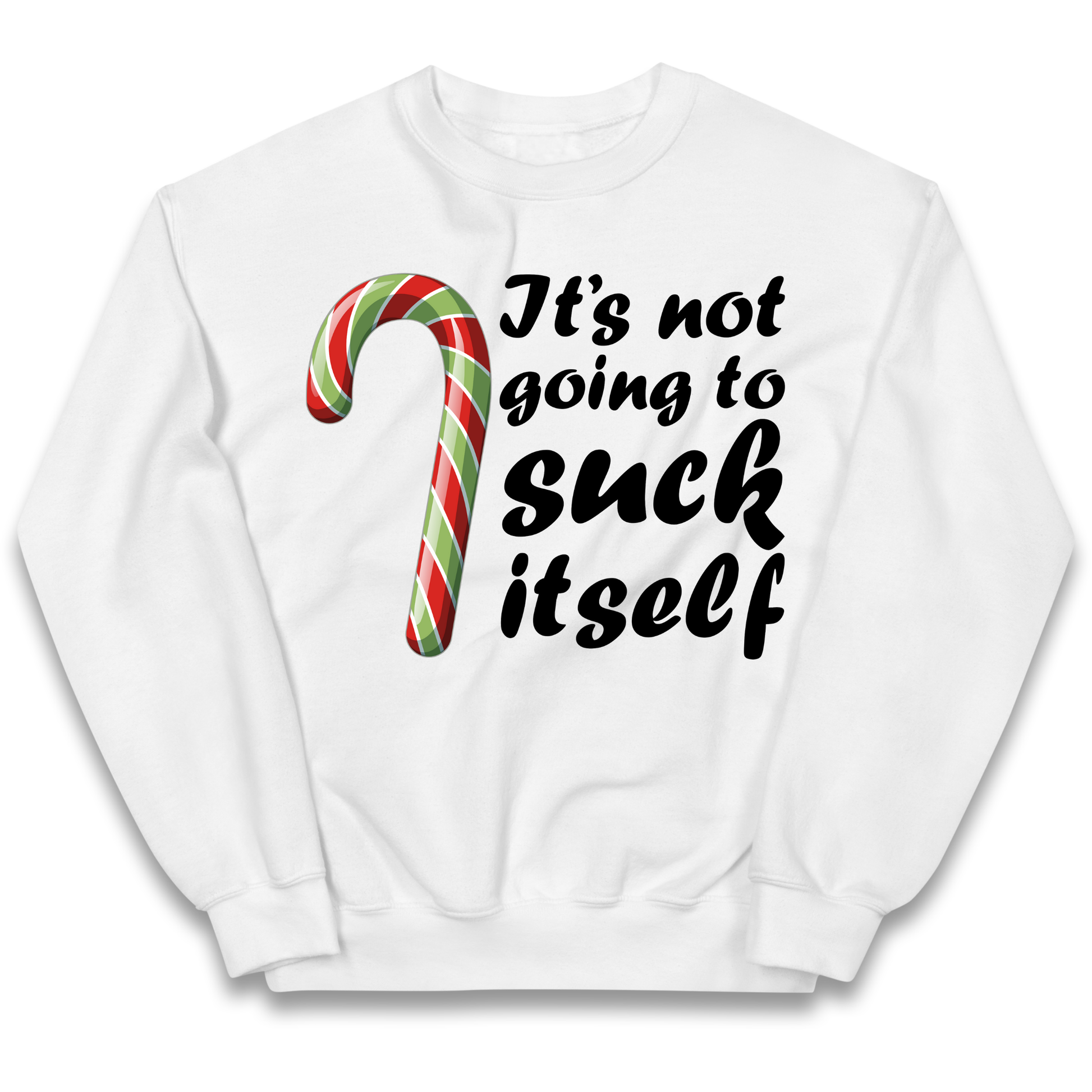 Not Going To Suck Itself Kids Sweatshirt