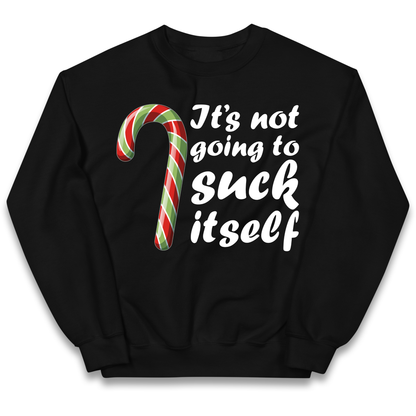 Not Going To Suck Itself Kids Sweatshirt
