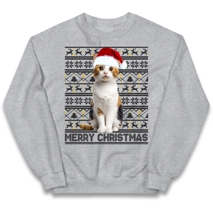 Merry Christmas Cat kids sweatshirt