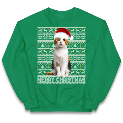 Merry Christmas Cat kids sweatshirt