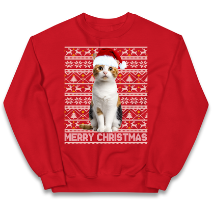 Merry Christmas Cat kids sweatshirt
