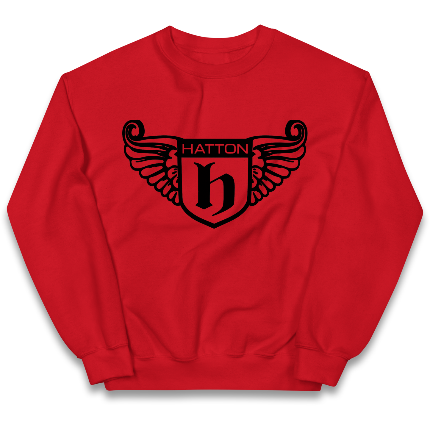 Ricky Hatton kids sweatshirt
