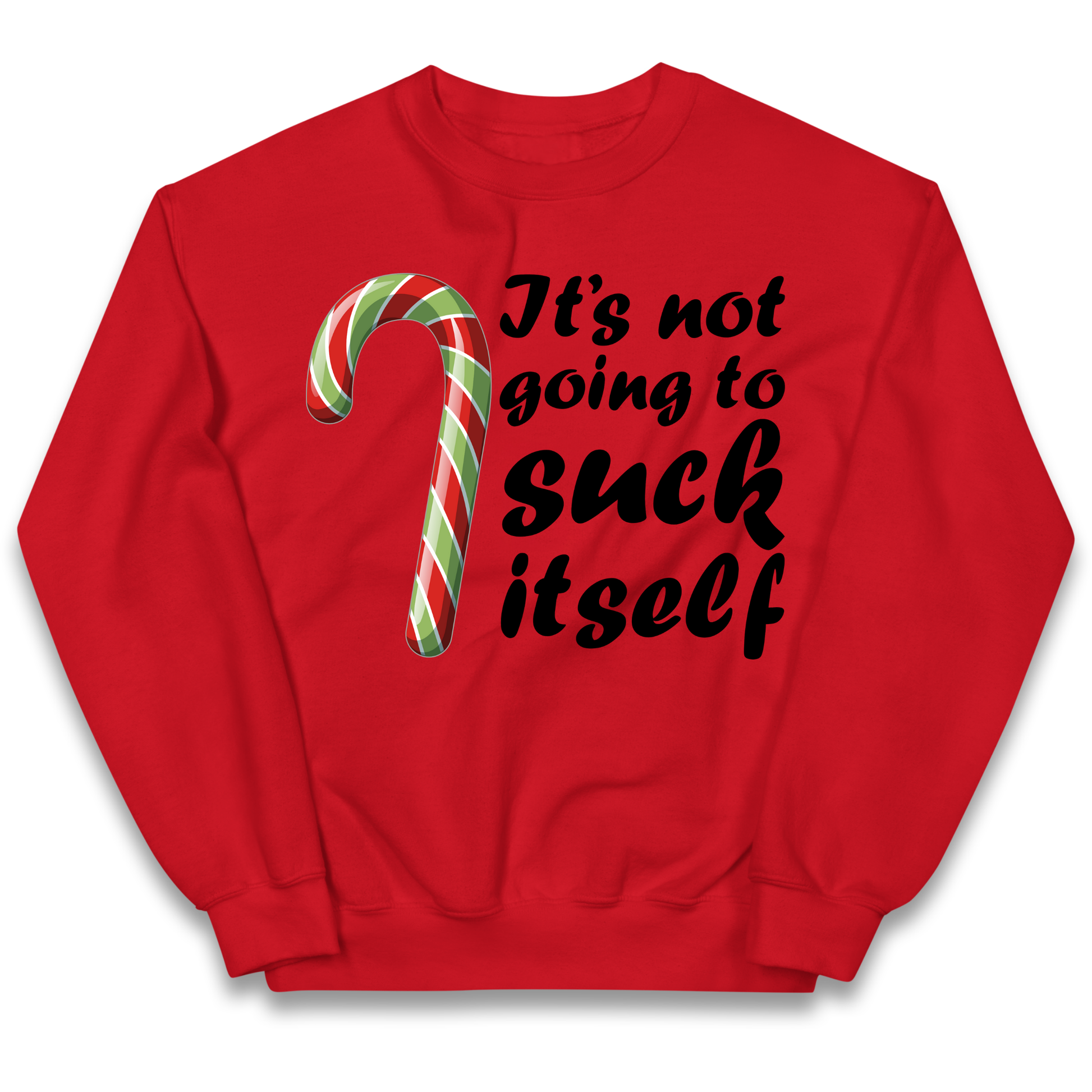 Not Going To Suck Itself Kids Sweatshirt
