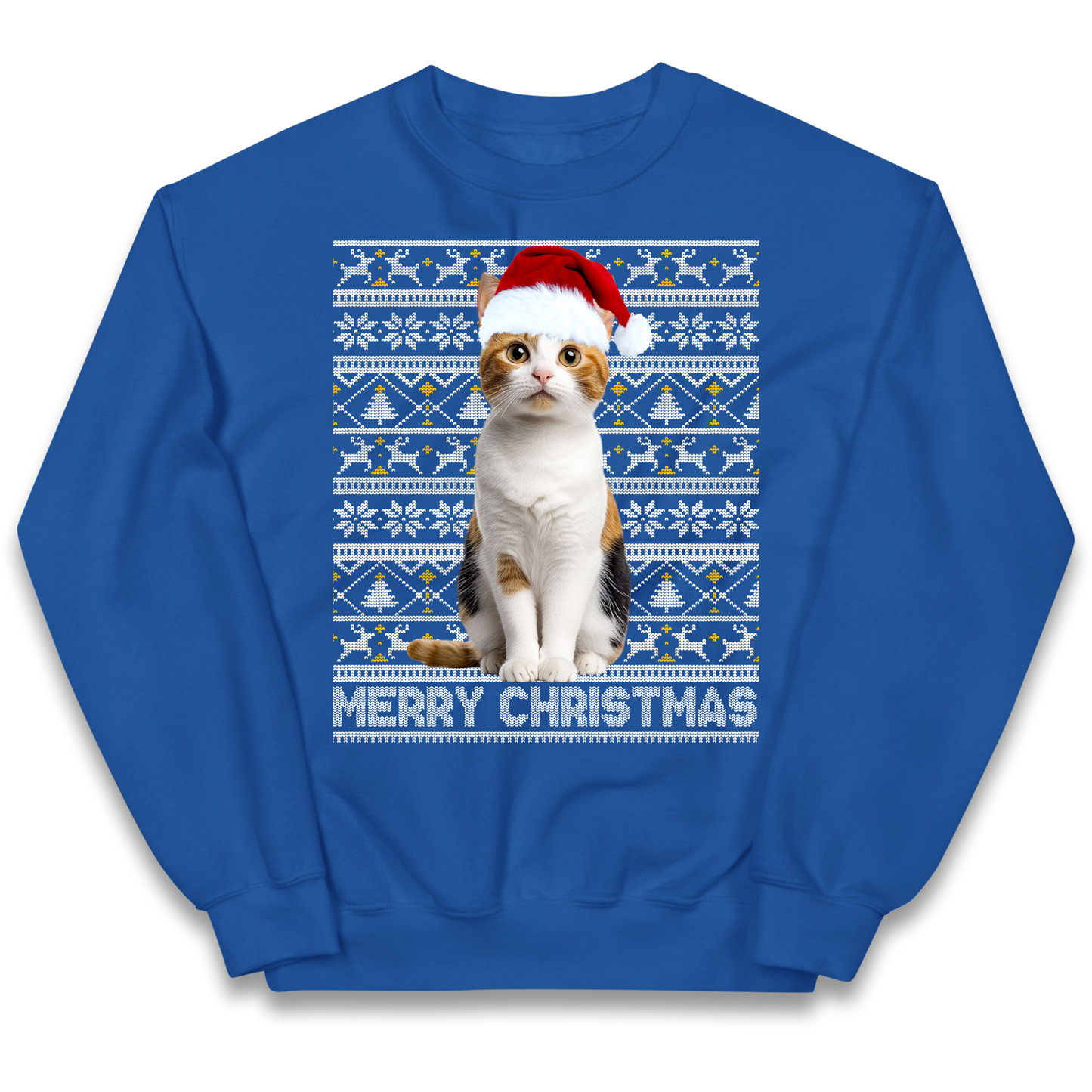 Merry Christmas Cat kids sweatshirt