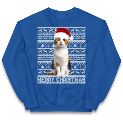 Merry Christmas Cat kids sweatshirt