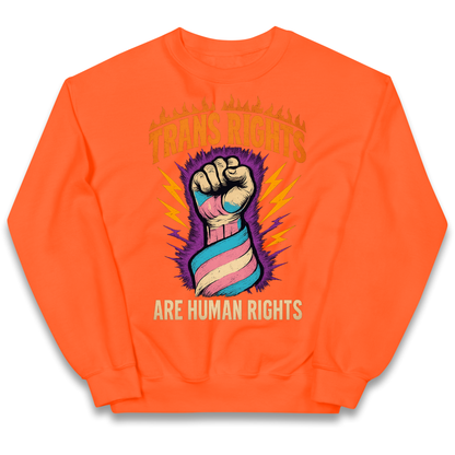 Trans Rights Are Human Rights kids sweatshirt