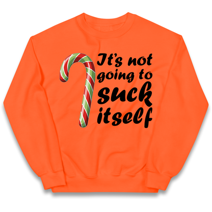 Not Going To Suck Itself Kids Sweatshirt