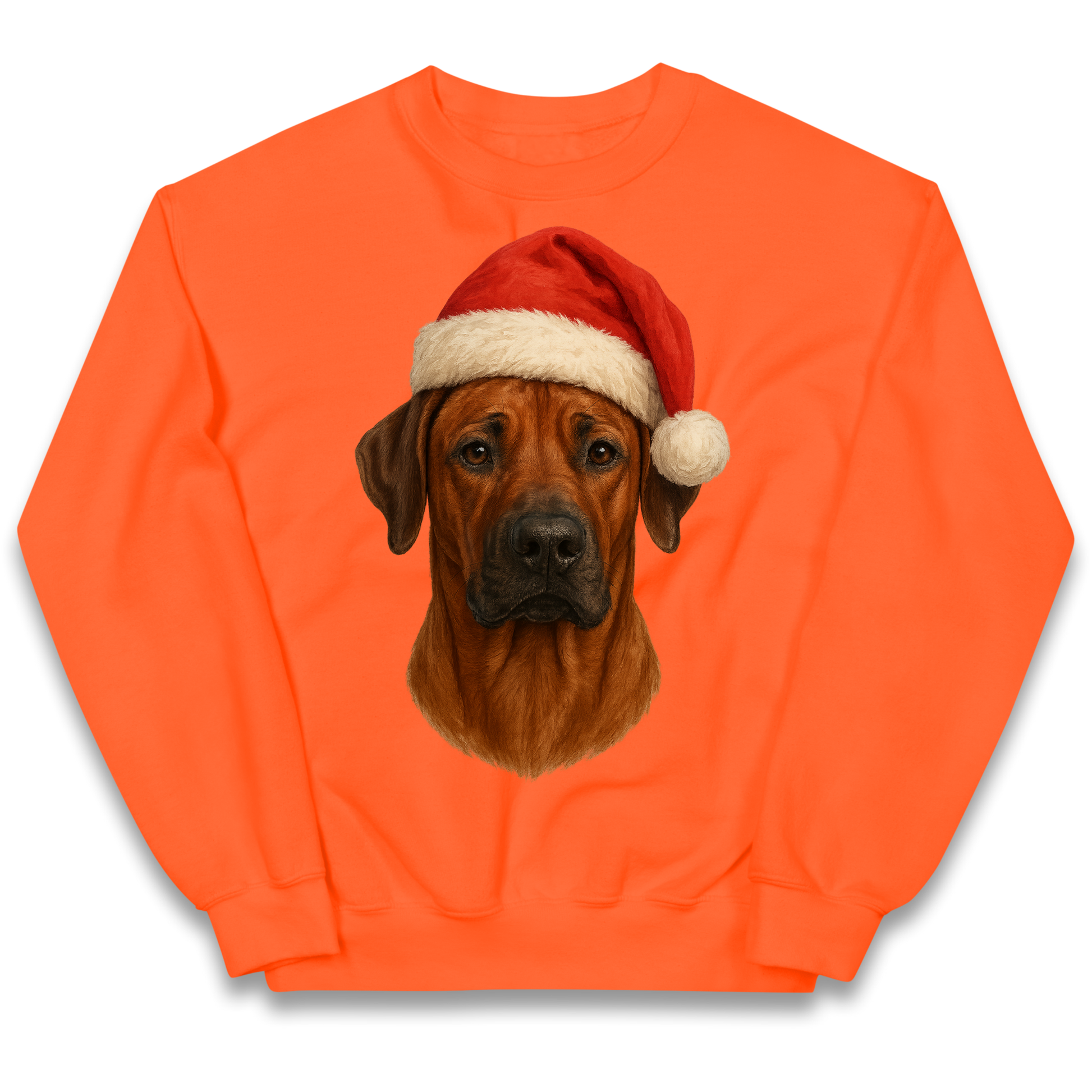 Rhodesian Ridgeback Christmas Kids Sweatshirt