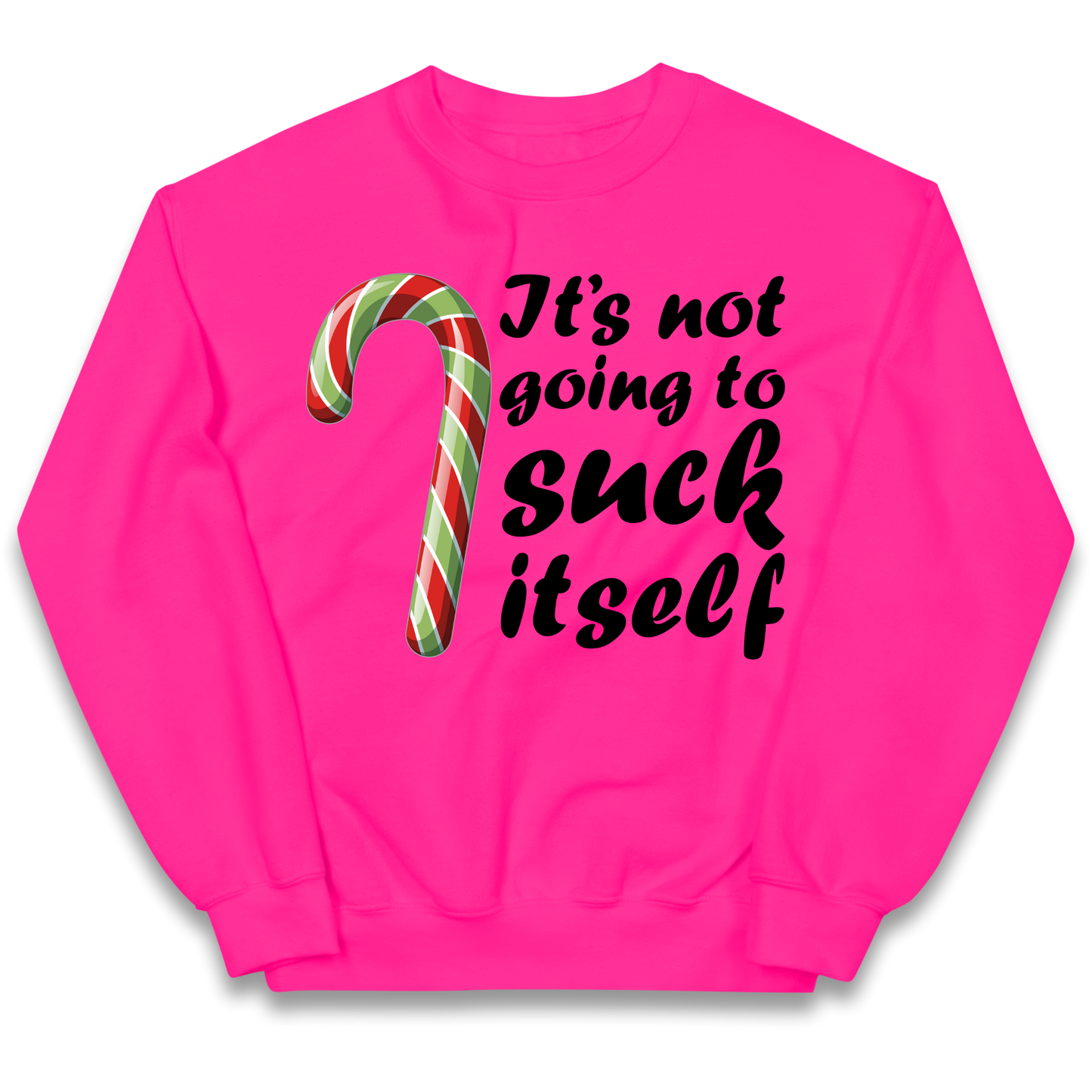 Not Going To Suck Itself Kids Sweatshirt
