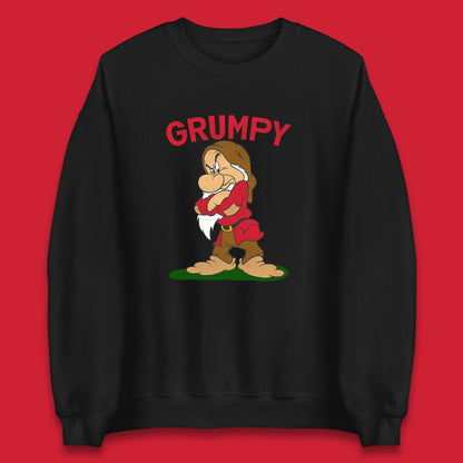 Seven 7 Dwarfs Disney Dwarfs Group Grumpy Sleepy Dopey Doc Sneezy Bashful Happy Disney Matching Outfit Disney Vacation Unisex Sweatshirt