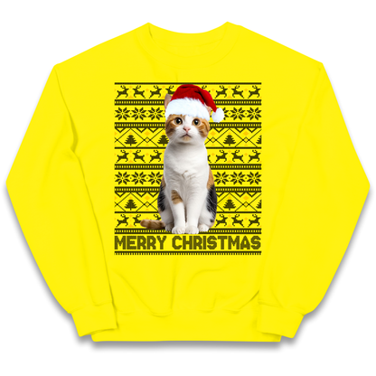 Merry Christmas Cat kids sweatshirt