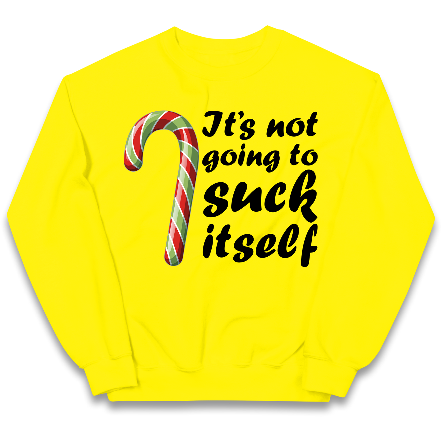 Not Going To Suck Itself Kids Sweatshirt